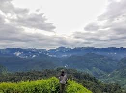 A landscape view from Nallamudi Viewpoint showing deep valleys and distant waterfalls